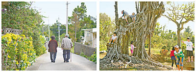 「ありのままの宜野座村の暮らし」