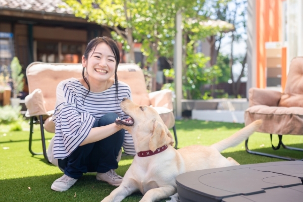 愛犬　お家　旅行