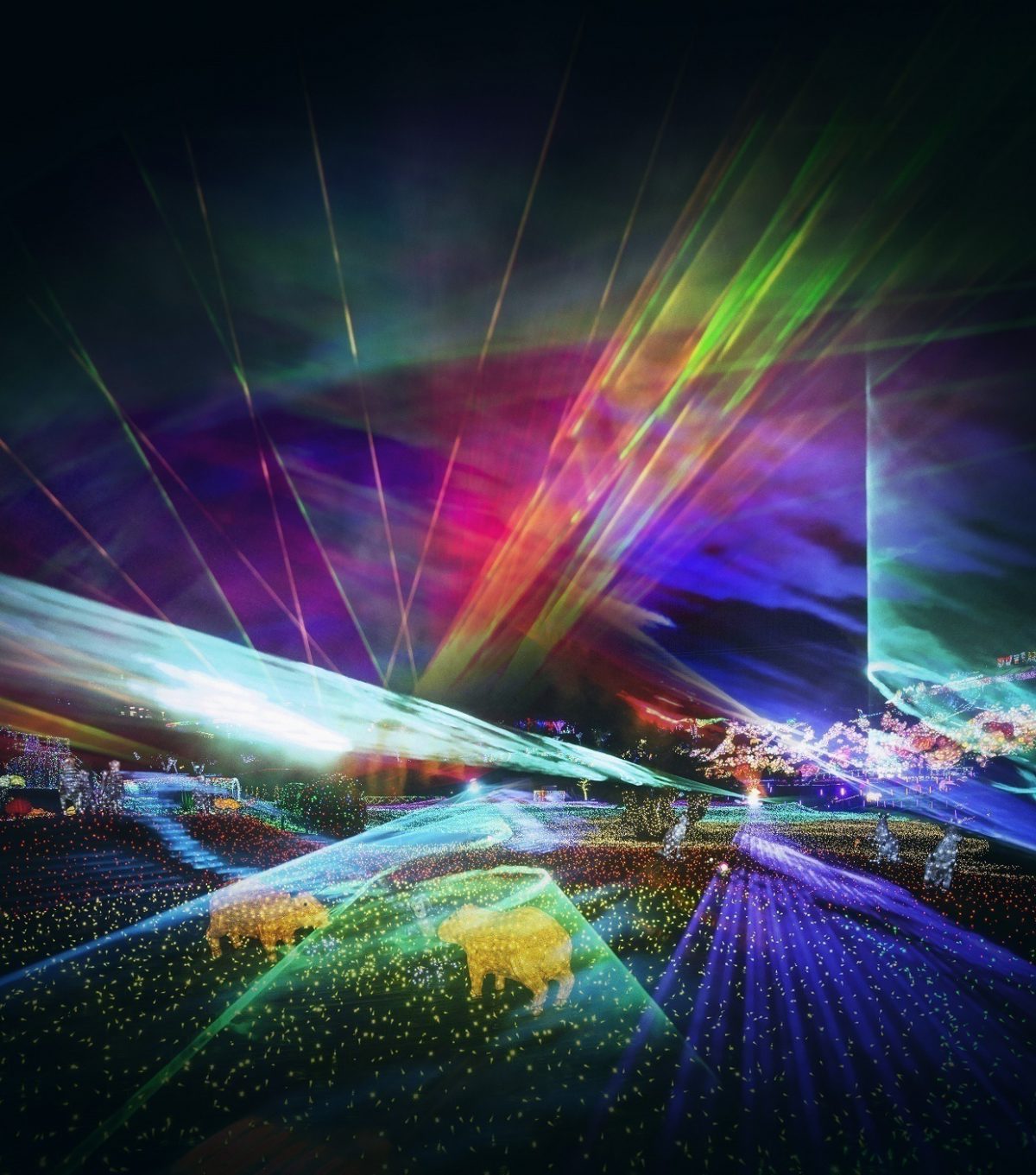 全国最大規模の高密度LEDで幻想空間を織りなす　伊豆ぐらんぱる公園、11月11日(土)から「体験型イルミネーション　グランイルミ ～3rdシーズン～」をスタート