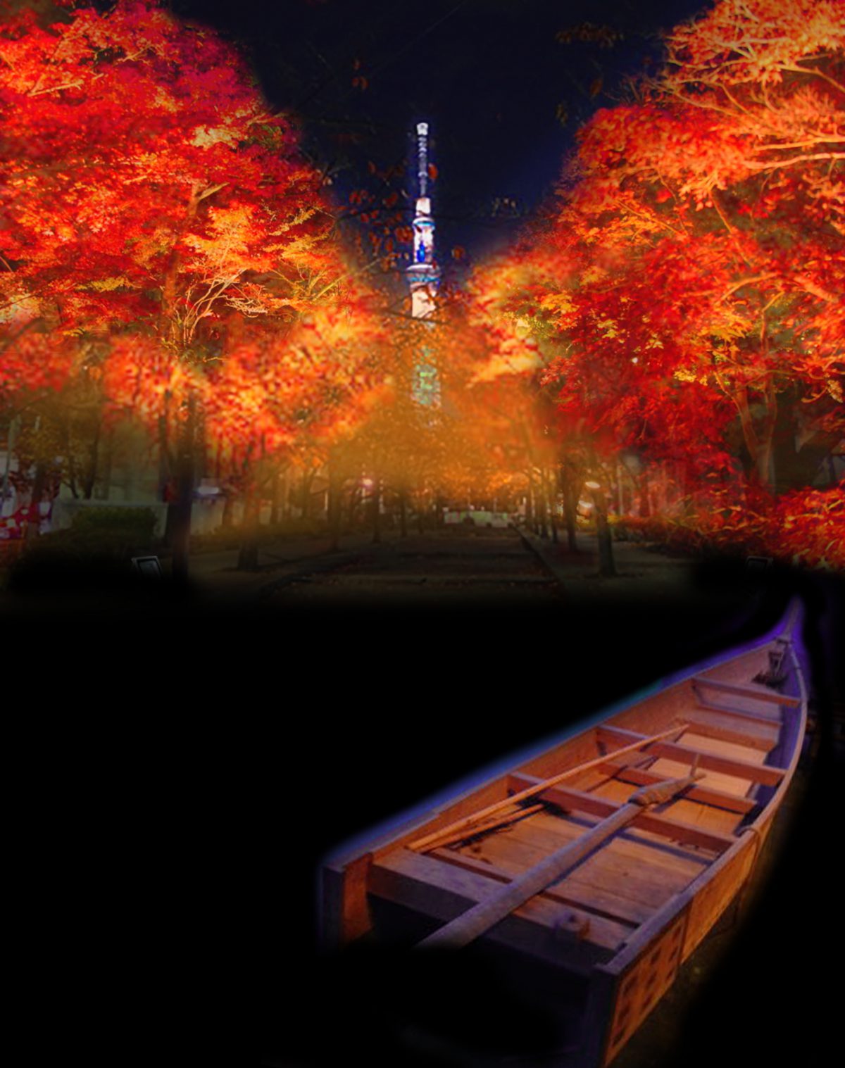 浅草の隠れた名所で夜さくら紅葉をライトアップ