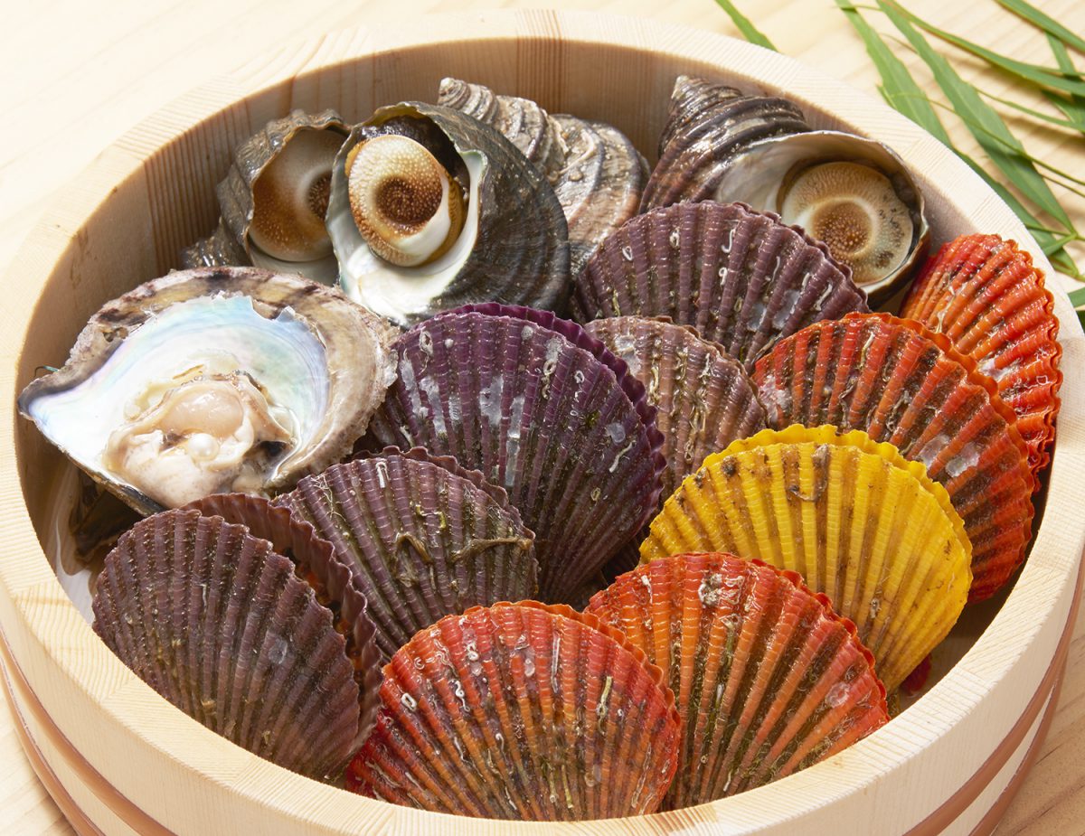 愛媛産の貝セットした「海のたまて箱」販売