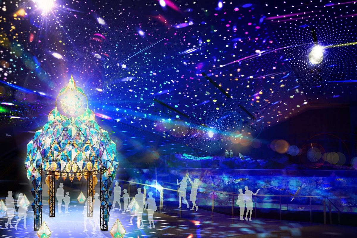 すみだ水族館で光のイルミ、高さ6㍍のオブジェが登場