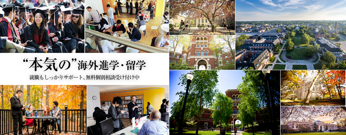 専属カウンセラーがサポート KNT―CT、「海外進学・留学サイト」リニューアル