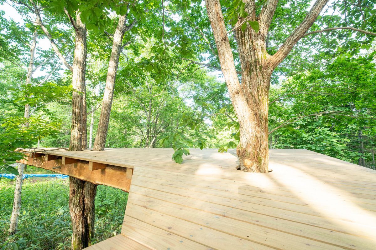 北海道上川町、大雪 森のガーデンに新エリア「遊びの森」　8月4日（土）プレオープン