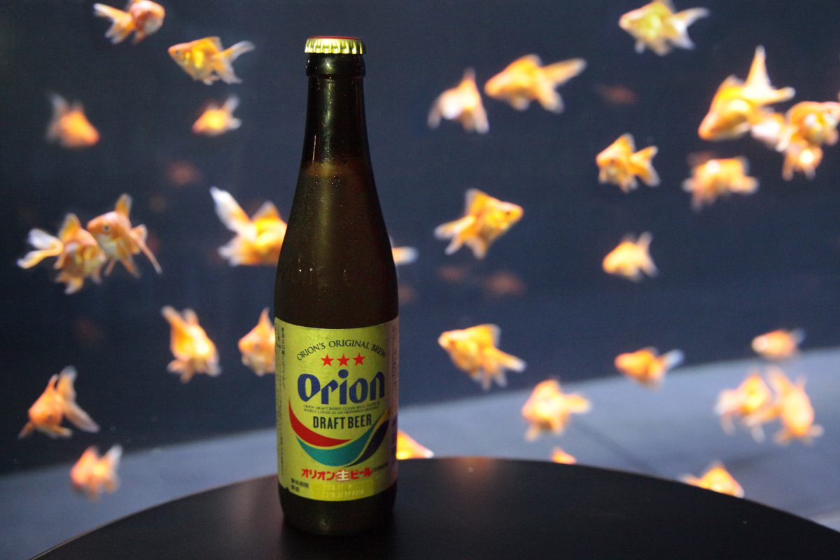 世界中の金魚に囲まれ生ビール　「世界ビールデー」に合わせ100円に　すみだ水族館