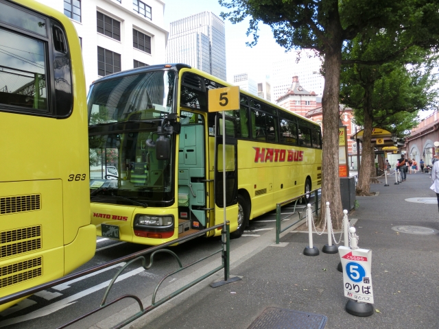 独自視点でバスツアーを厳選（たびらい×はとバス）