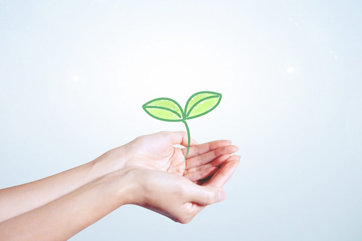 ＡＮＡ、西日本復興支援「でかけよう西日本」プロジェクトを実施　運賃の値下げやマイルでの寄付募集など