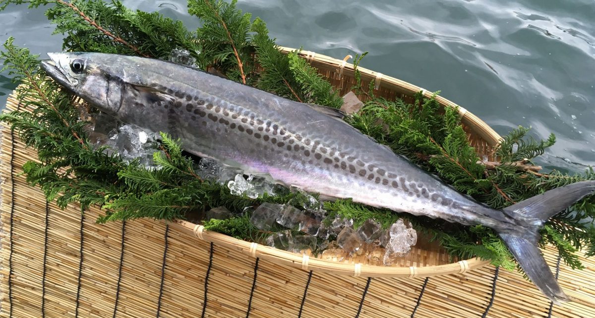 「京都・舞鶴のさかな食事処」に8店舗を登録　舞鶴の海の幸のおいしさ発信