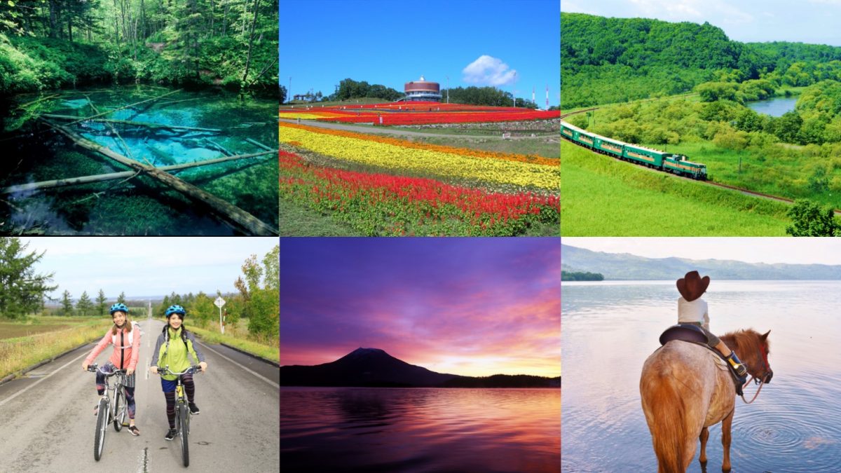 ウィラー、ひがし北海道の周遊を簡単便利に　新商品 「Eastern Hokkaido Nature Pass」通年販売始まる