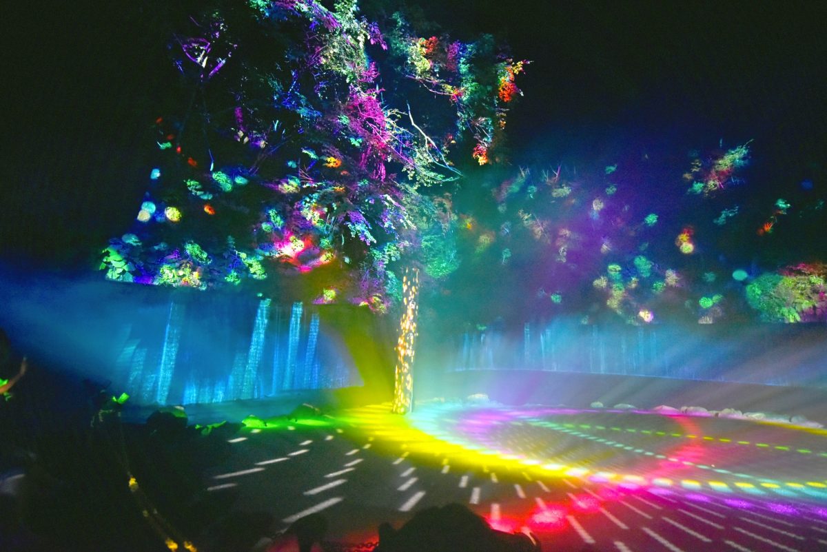 軽井沢「白糸の滝」プロジェクションマッピング7月26日から開催