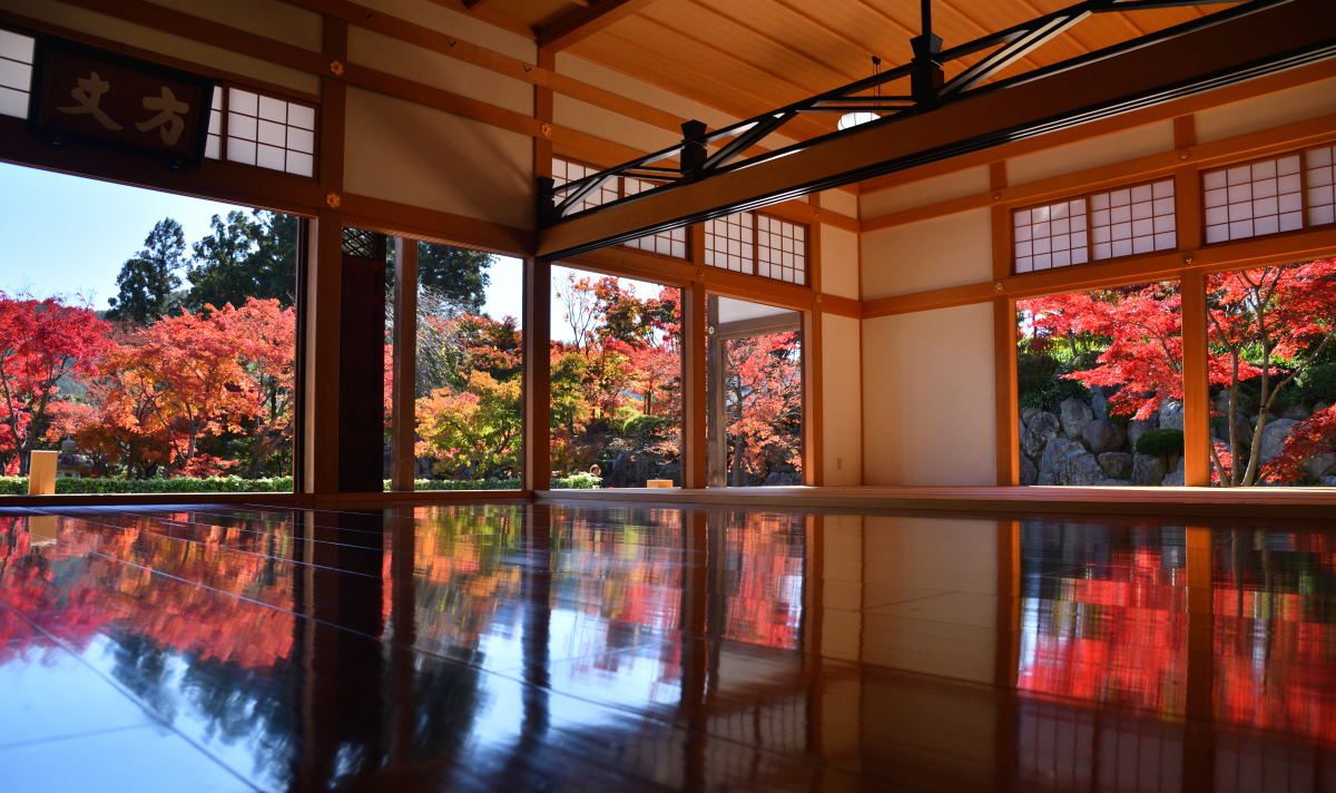 紅葉で話題のスポットを巡る　はとバス9～12月の日帰りコース売り出す