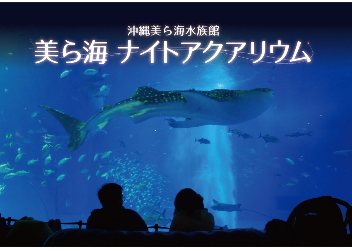 沖縄美ら海水族館、夜の水槽が見られる「美ら海ナイトアクアリウム」期間限定で開催