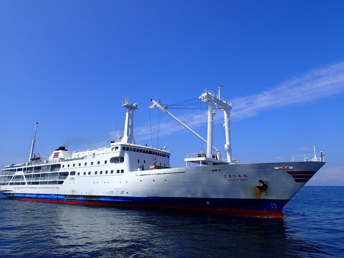 3隻の船で島巡り楽しむ　東海汽船、「船の旅　特別感謝ツアー」売り出す