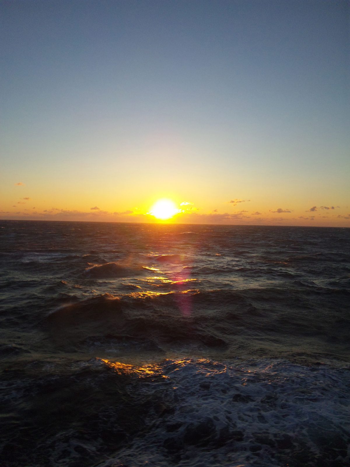 はとバス、19年12月～20年2月期の宿泊バスツアー売り出す　初詣ツアーなど77コース