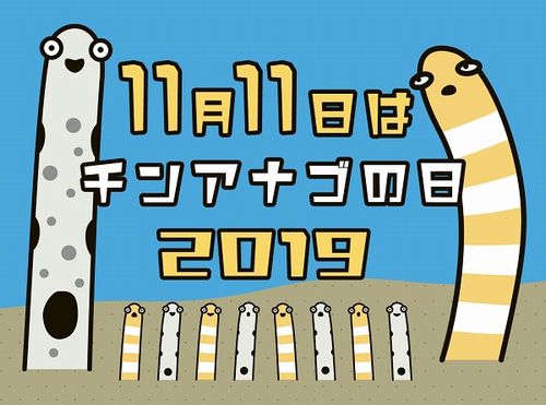 京都水族館、チンアナゴの日にイベント開催　11月11～30日
