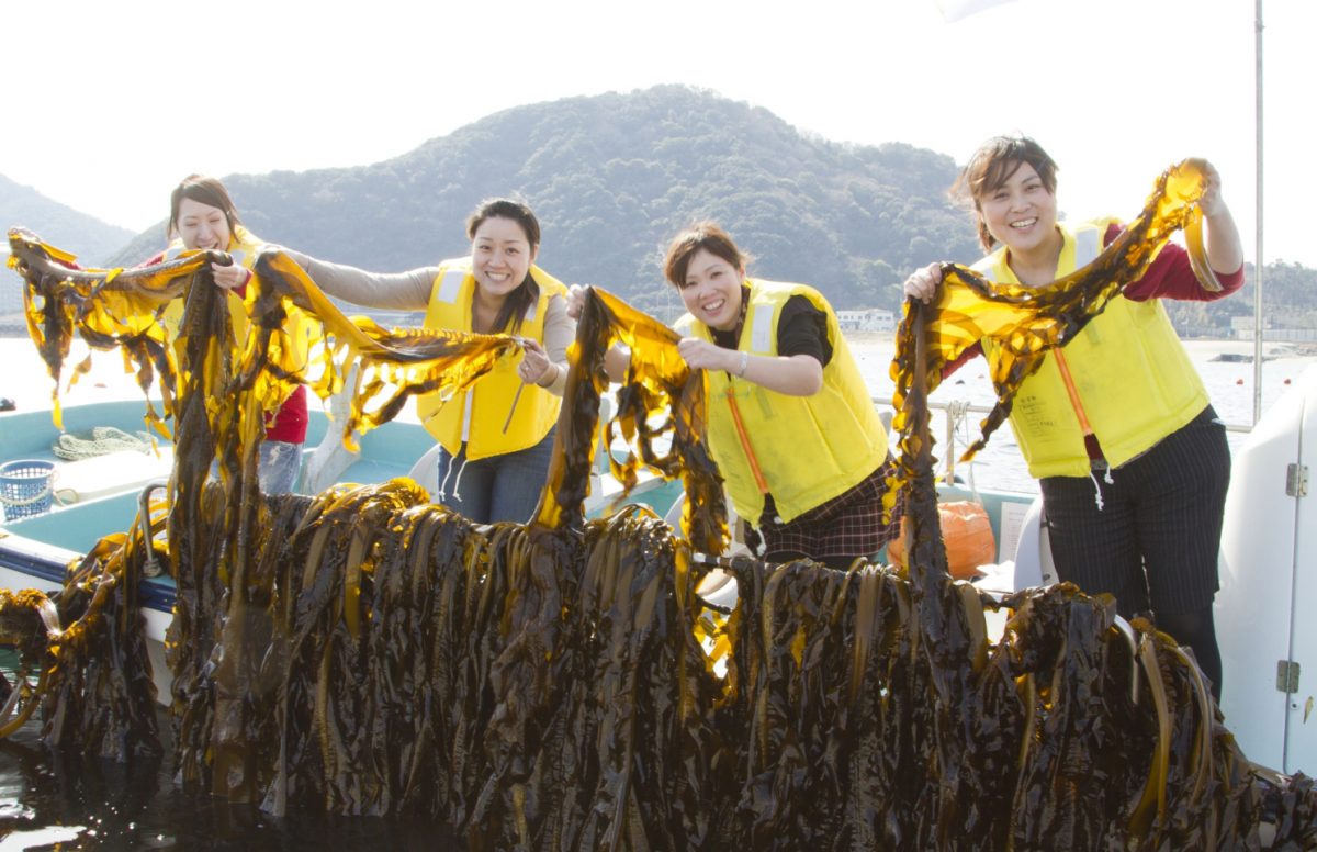 採れたてワカメでしゃぶしゃぶ　ご当地体験「鳴門わかめ収穫＆塩蔵」宿泊プラン期間限定で　徳島・鳴門