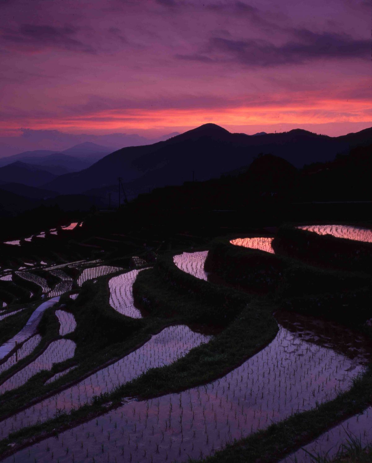 Welcomeくまのキャンペーンの対象を近畿2府4県・東海3県に拡大　期間は12月31日まで