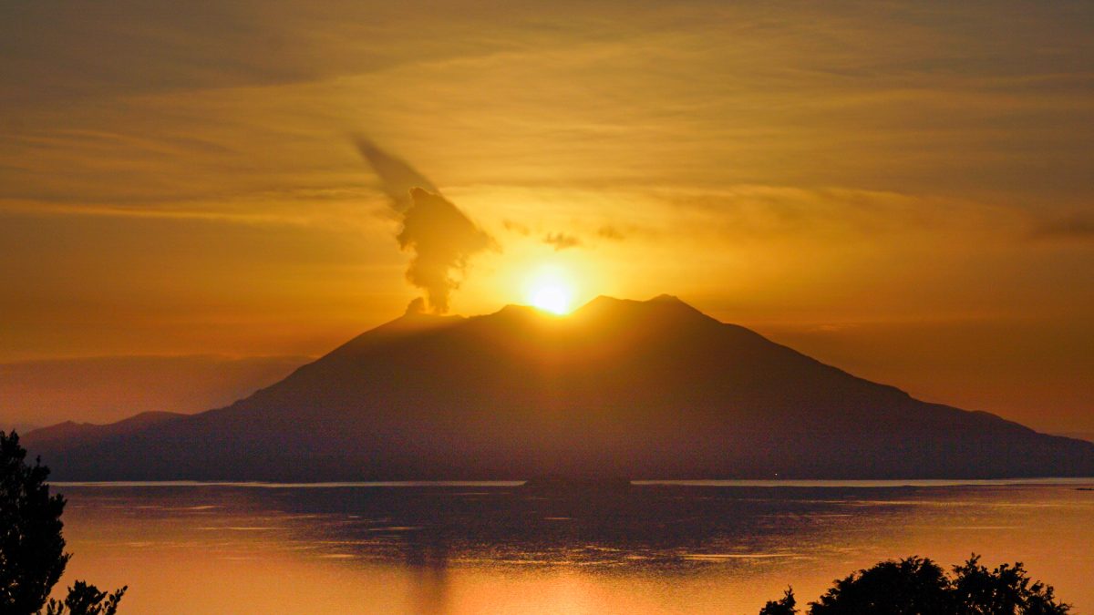 「ダイヤモンド桜島」の眺望期が到来　一番の見頃「ザ・ダイヤモンド桜島」は12月15日
