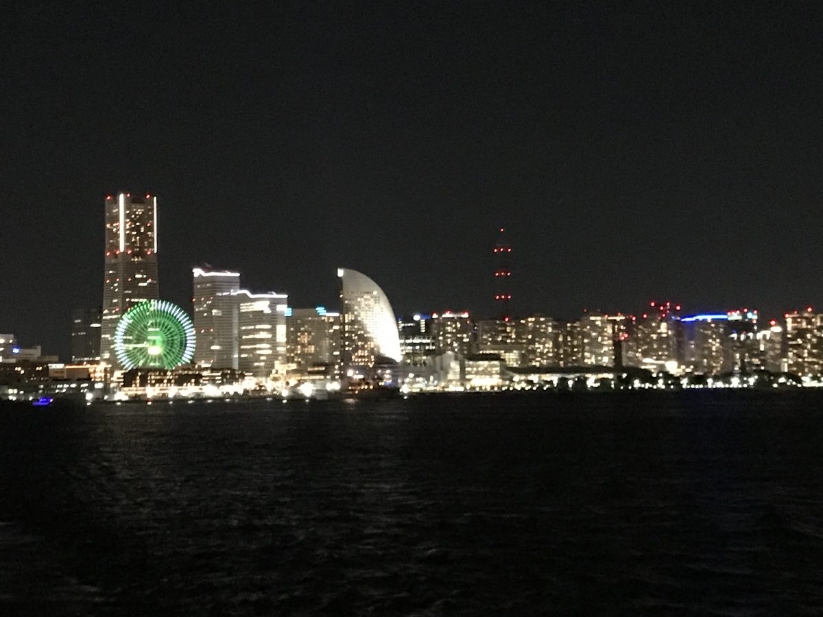 東京竹芝桟橋と東京諸島を結ぶ定期船「さるびあ丸」で東京湾夜景クルーズ　東海汽船が実施