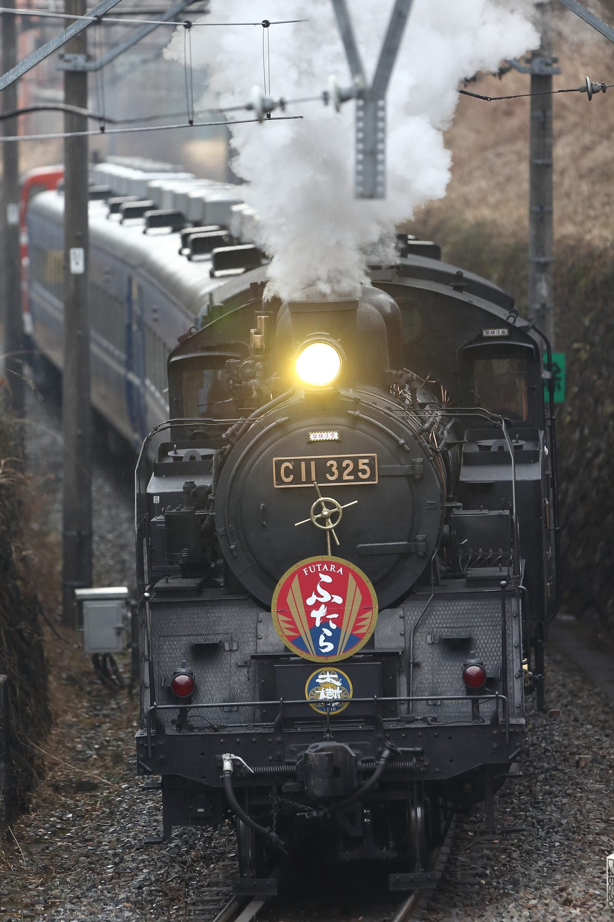 SL大樹を満喫　5月8日の限定日帰りツアー、東武トップツアーズ