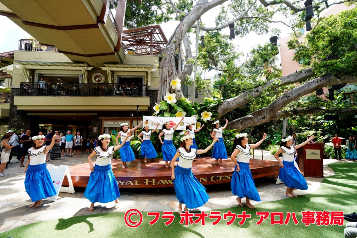 フライベント「バーチャル＆ライブイベント2021」への参加者募集中、ジャルパック