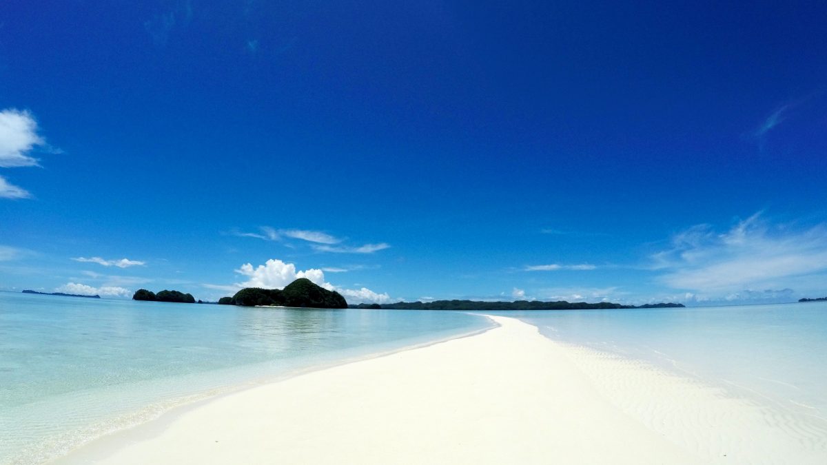 国際線機内食付きの新オンラインツアー　第1弾はパラオ、ジャルパック