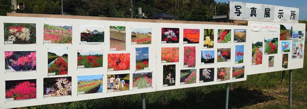 里山・田園風景を残す藤沢市遠藤・御所見地区でON・ガスイベント　北部の魅力発信へ