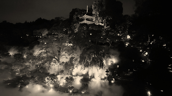 ホテル椿山荘東京で蛍の夕べ　7月3日からは、夏季の特別庭園演出「超雲海」も