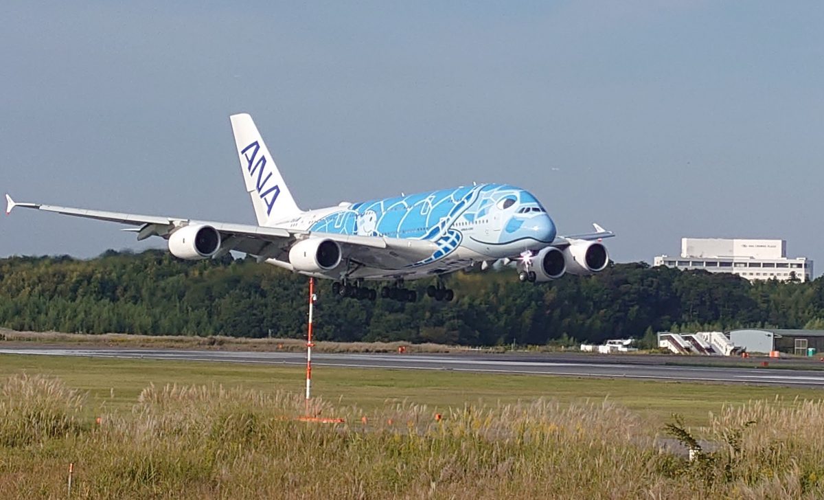 航空機の迫力全身で　非公開エリアをバスで巡る成田空港スペシャルバスツアー（グリーンポート・エージェンシー）